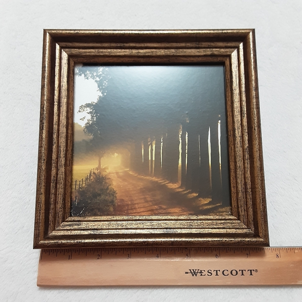 Scenic Nature Picture In Frame - Picture 2 of 5
